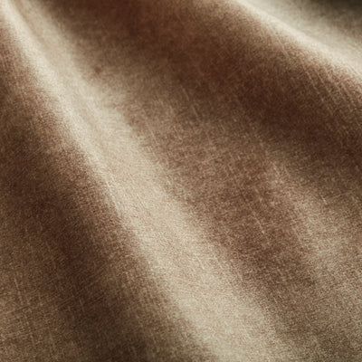 Mink